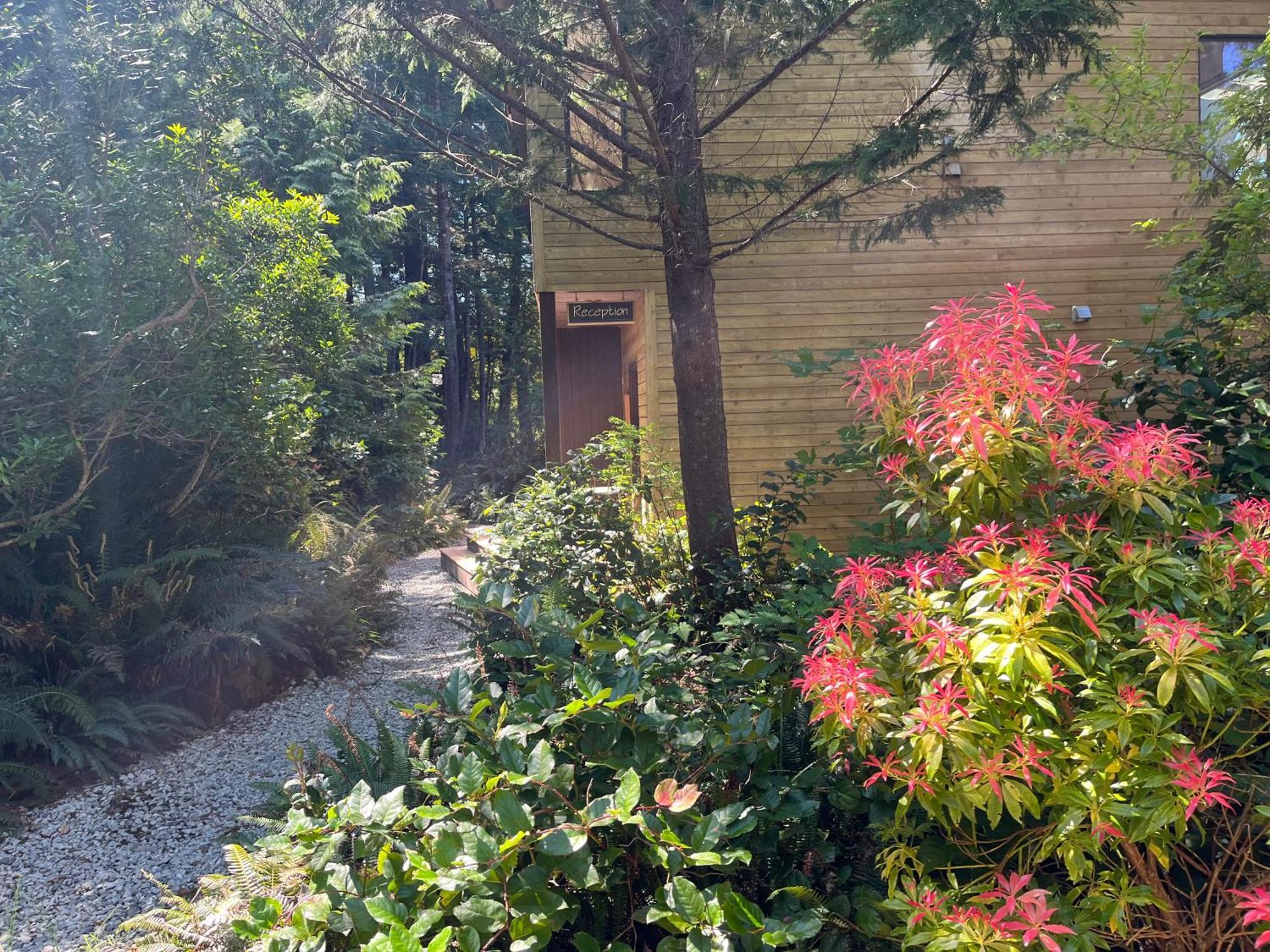 Bed & Breakfast Hyphocus Ucluelet