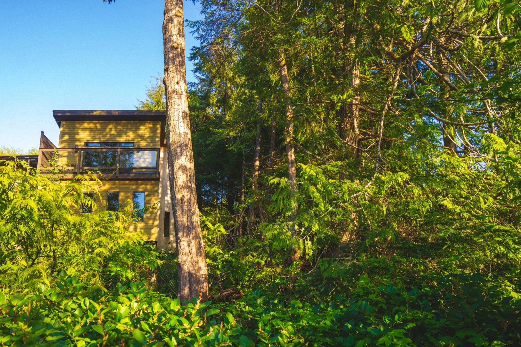 Bed & Breakfast Hyphocus Ucluelet