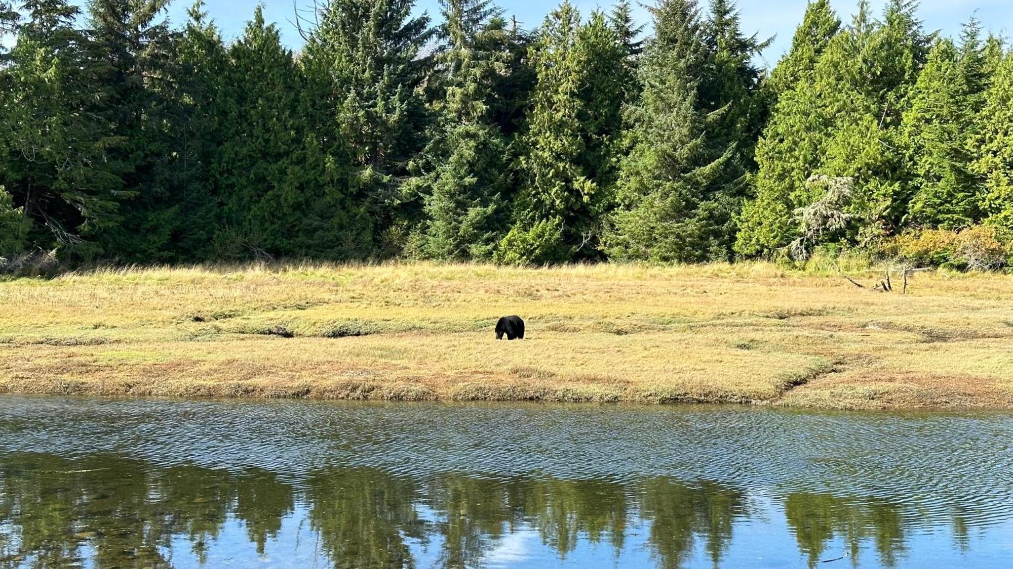 Hyphocus Ucluelet