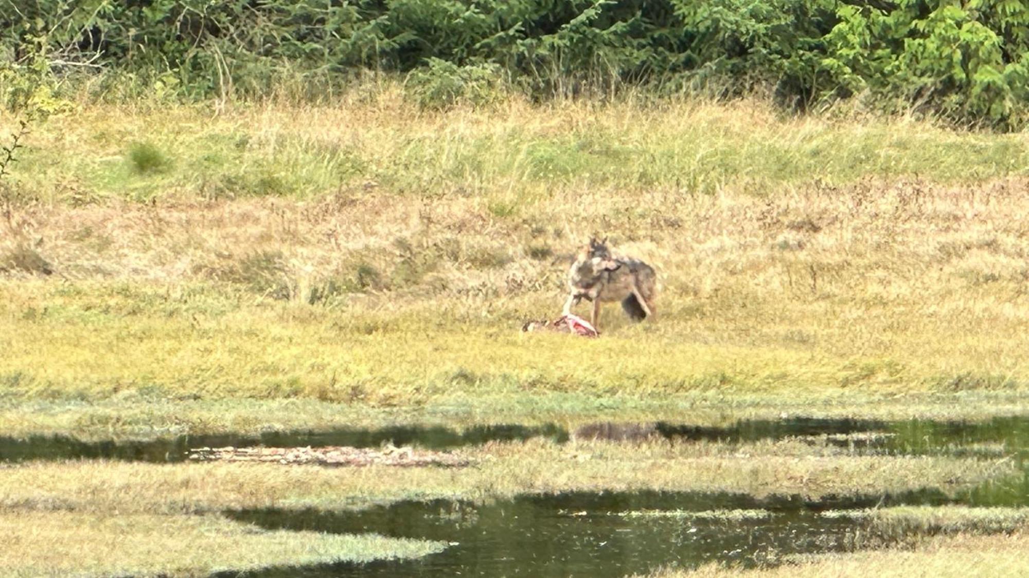Bed & Breakfast Hyphocus